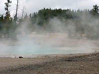 Yellowstone Norris Geyser (43).JPG